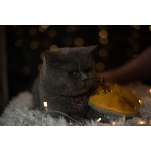 Lederpuschen Uni Senfgelb Gr 23-24 XL 18-24 Monate