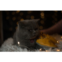 Lederpuschen Uni Senfgelb Gr 23-24 XL 18-24 Monate